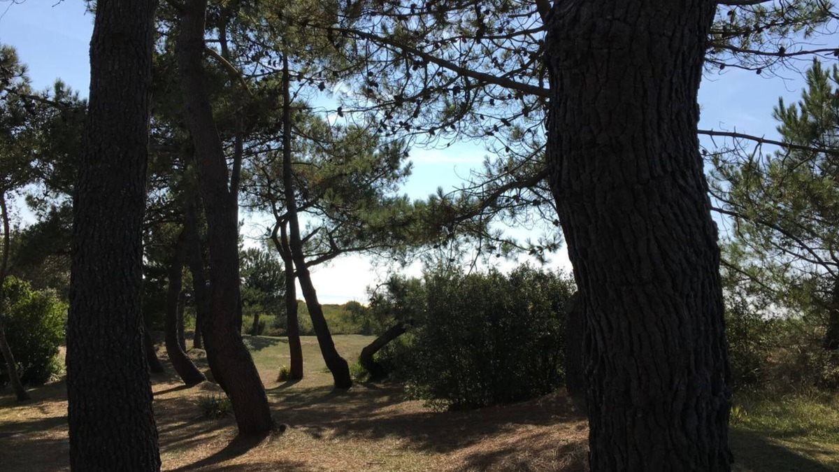 Barneville-Carteret House | Le Petit Hameau - Close to the beach and the town of Carteret - 2 bedrooms