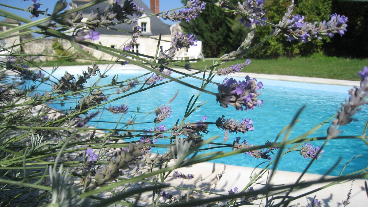 Noyant-la-Plaine Cottage | Le PetitPavillon in the Loire Valley