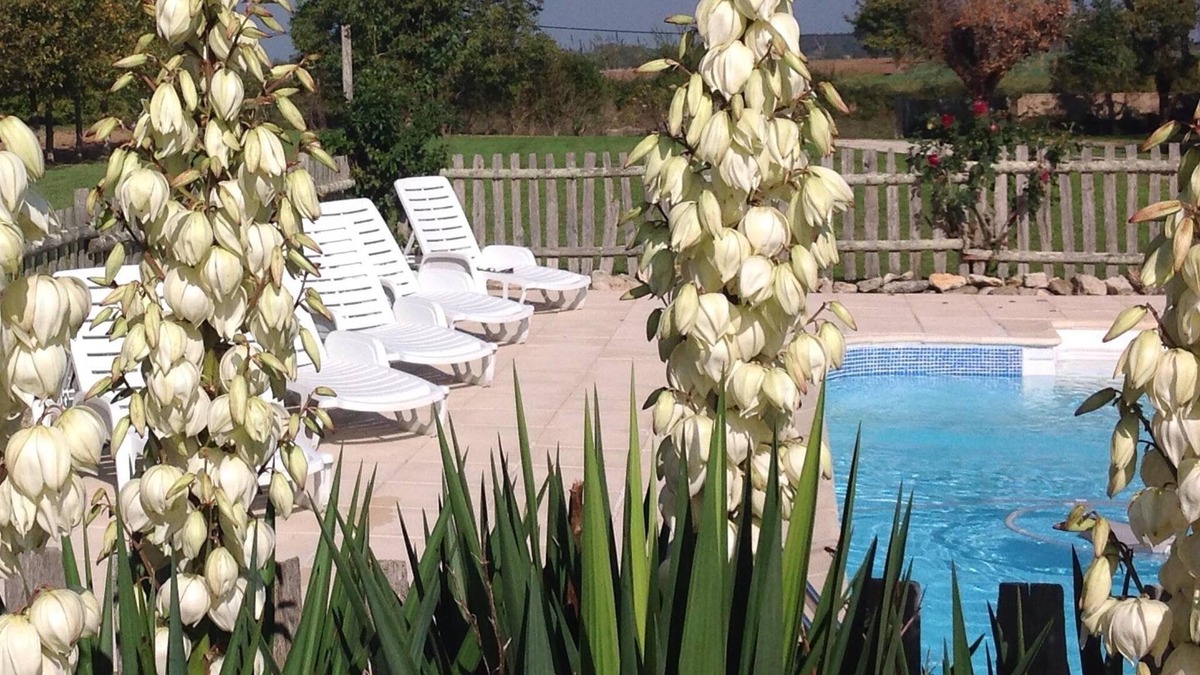 Hanc House | Le Poirier- Beautiful 3 bedroom Gite with on-site Swimming Pool and Gardens