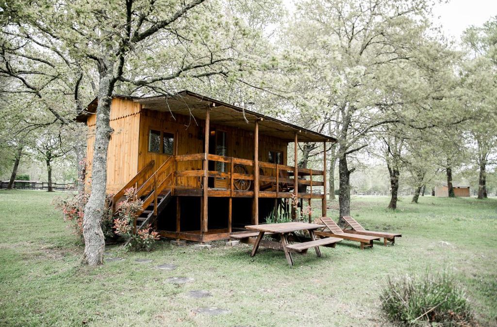 Saint-Paul-en-Born Bed & Breakfast | Le Ranch Amadeus