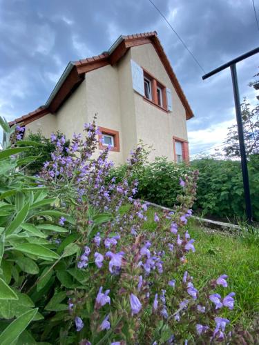 Baerenthal House | Le Refuge de l'Ours
