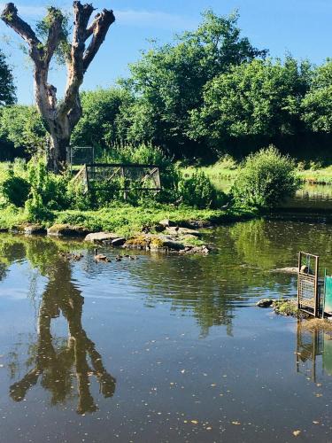 Saint-Aubin-le-Cloud Apartment | Le refuge des canards