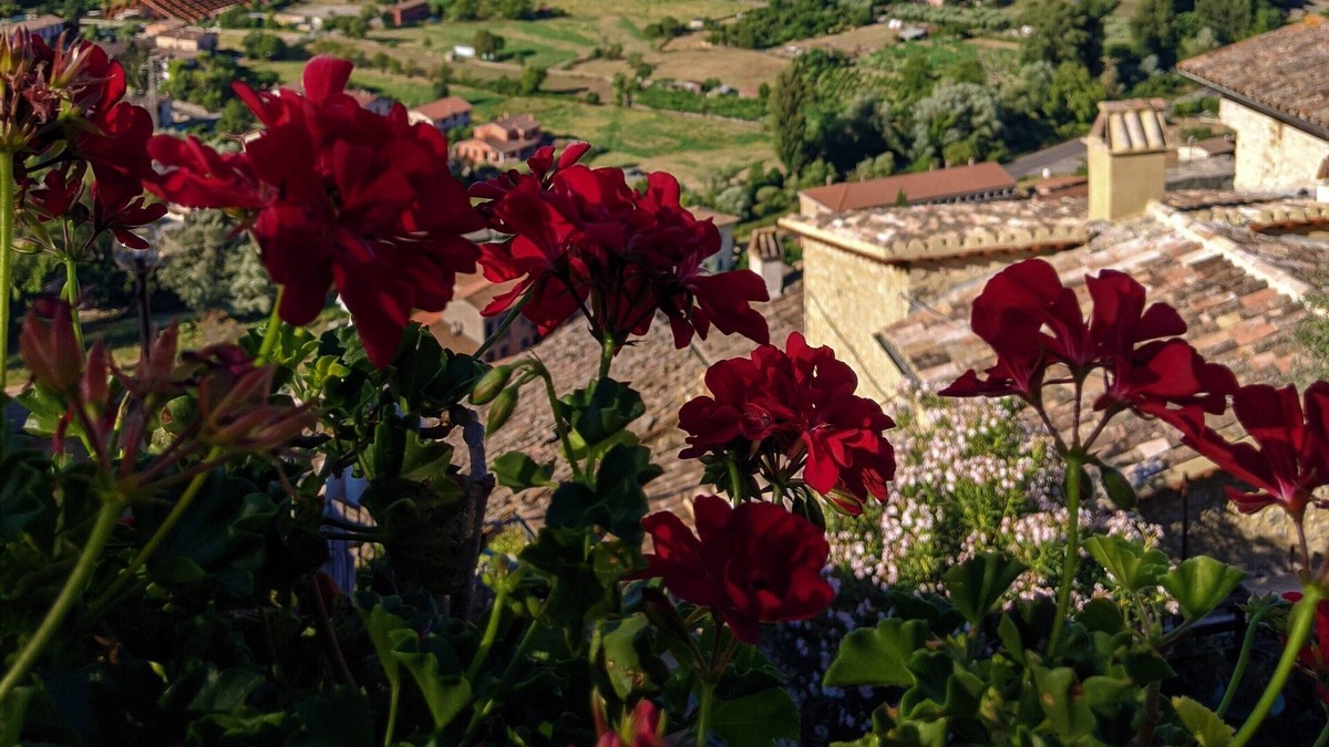 Precetto House | LE ROCCHE - Under the Castle, ZAFFIRO Apartment with SPA and Black River view