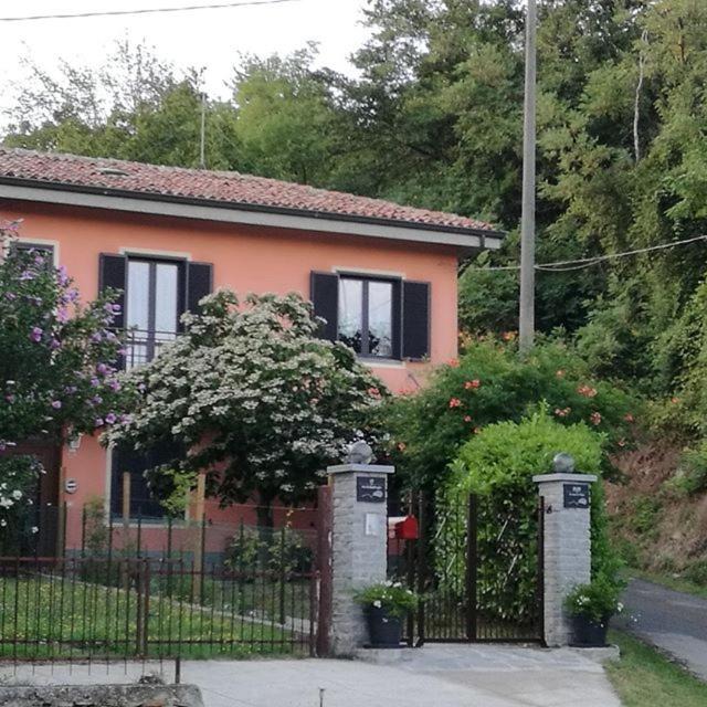 Mango House | Le rose di Mapi