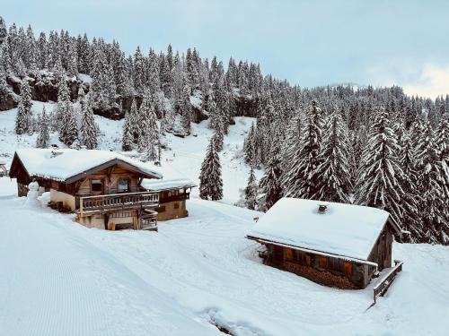 Les Lindarets Ski Chalet | Le Ruisseau, Lindarets, authentique, 11 personnes