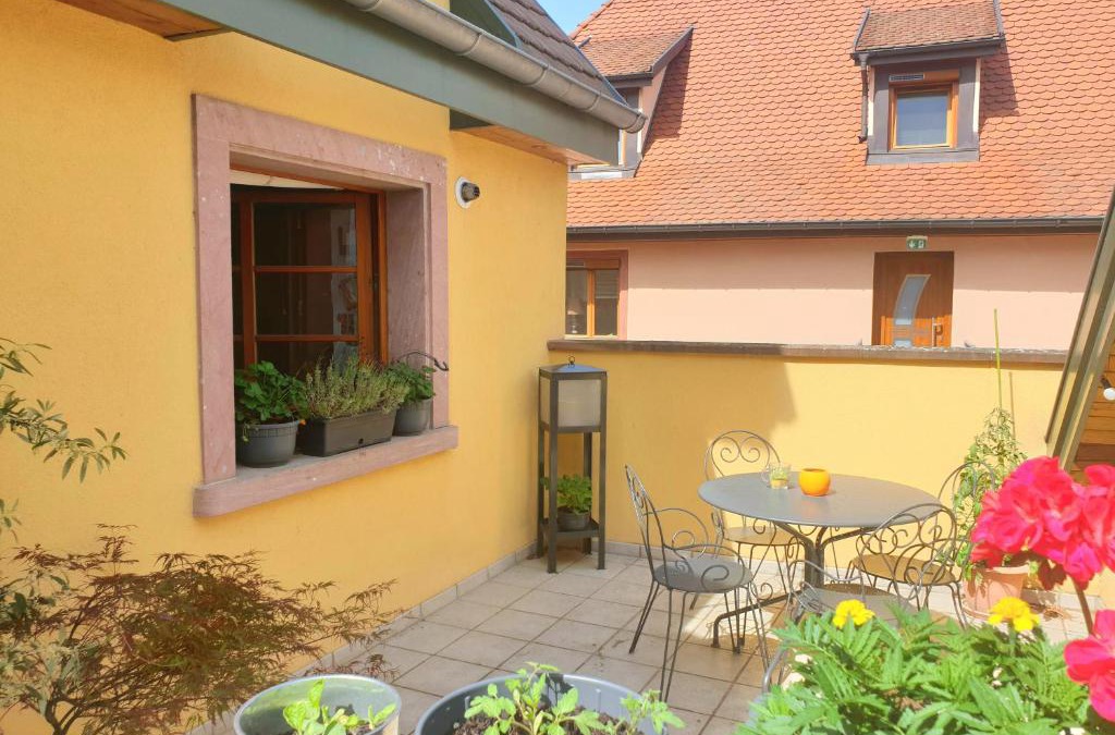 Ensisheim Apartment | LE SCHMOUTZ: Charmant duplex entre Colmar et Mulhouse (1-4 pers)