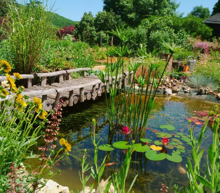 Degagnac Bed & Breakfast | Le tilleul à fleurs
