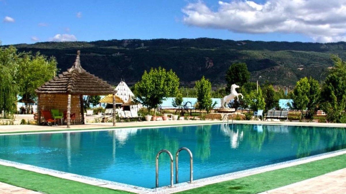 Tigrigra Other | Le Vallon Vert - Club Équestre