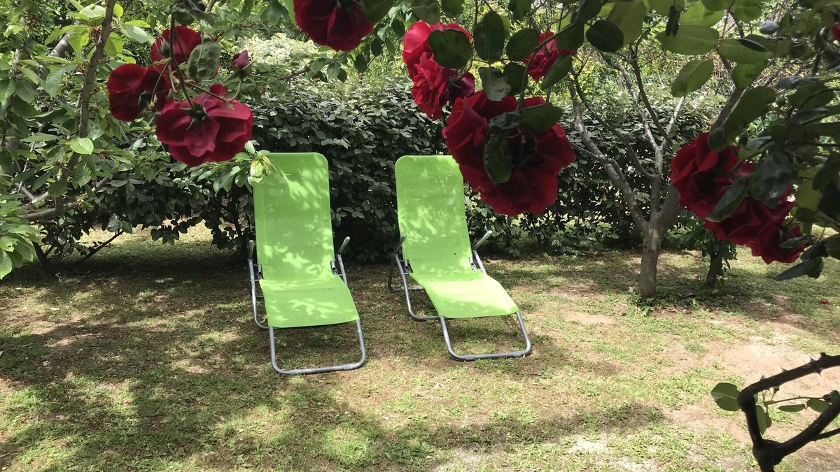 Macinaggio Apartment | "Le verger": Nice 1-bedroom apartment (60 m²), quiet location, 2 steps from the center and the beaches