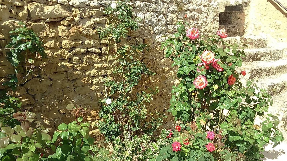 Airvault Bed & Breakfast | Le Vieux Château
