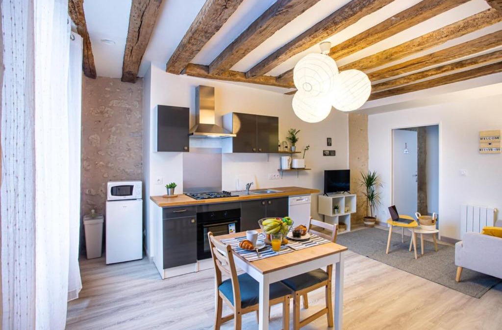 Amboise Apartment | "LE VINCI" Châteaux, Loire & Centre-ville
