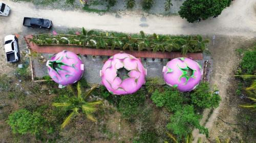 Toledo City Resort | Leah's Crestview Farm Resort