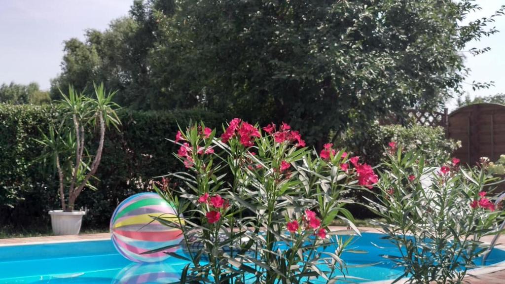 Balatonlelle Apartment | Leander Apartman