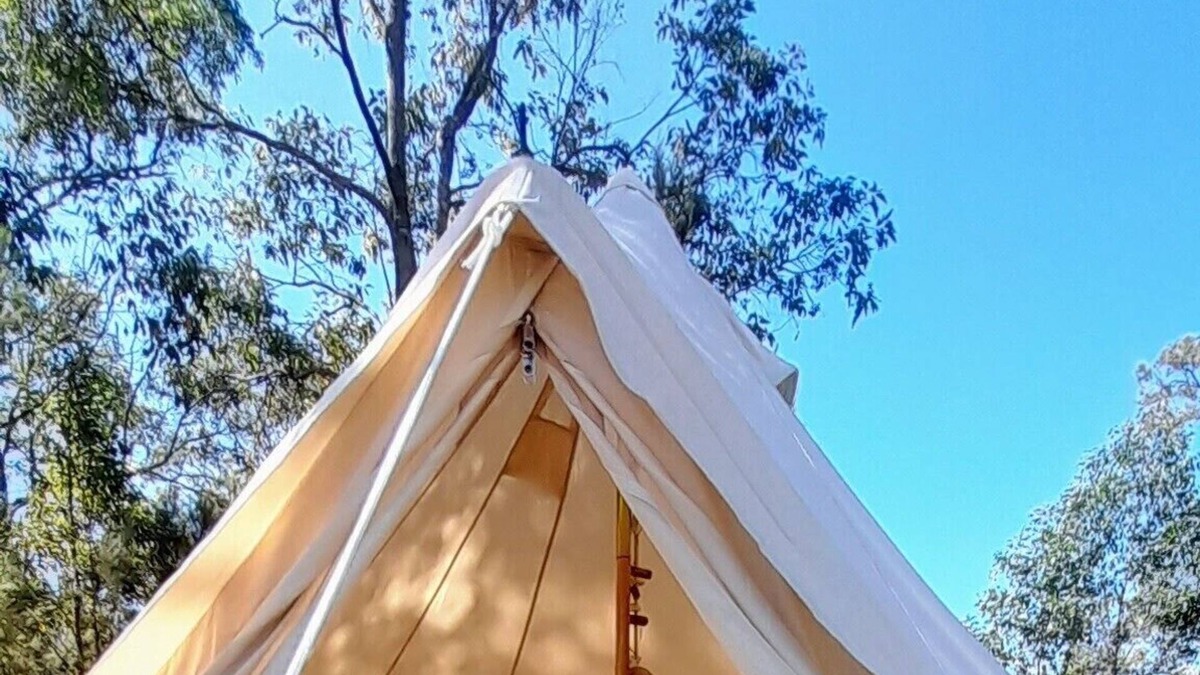 Cedar Party RV Rental | Leave the rat race & energise yourself in nature in our luxurious Glamping Yurt!