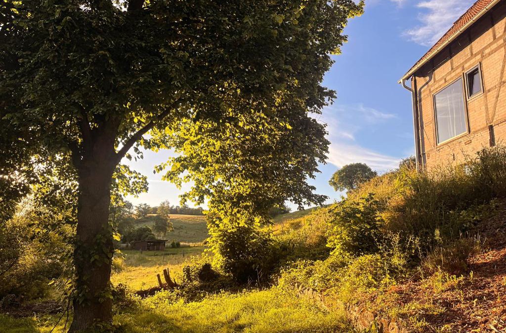 Gillersheim House | Lehm-Fachwerkhaus im Vorharz in der Landschaft