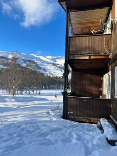 Randsverk Apartment | Leilighet med fin uteplass!