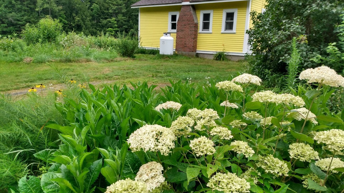 Peterborough Cottage | Lemon Drop Cottage a private cottage getaway