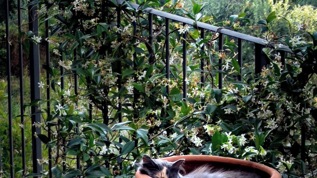Todi House | Lemon Tree Boutique Guesthouse
