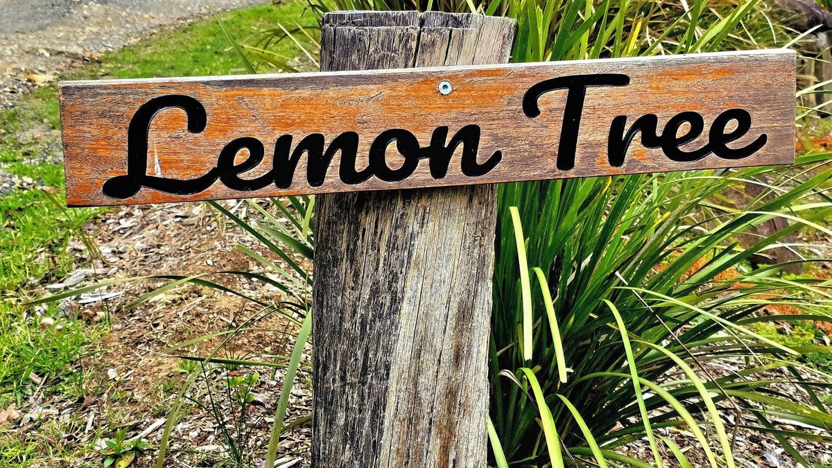 Brooman Cottage | Lemon Tree Cottage - The epitome of relaxation: your own cabin in the woods.
