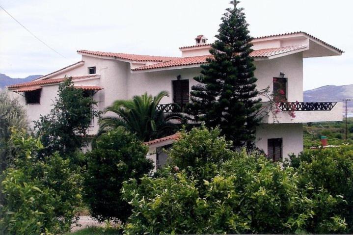 Troizinia House | Lemon tree house