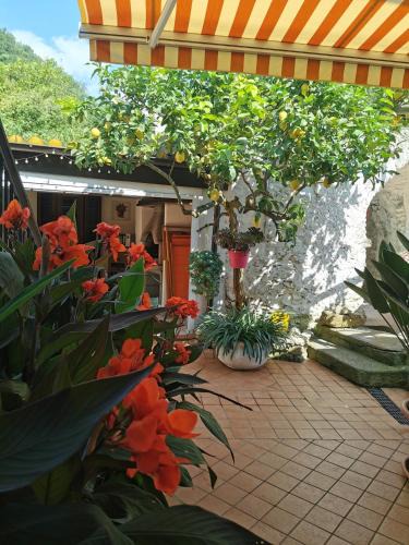 Feglino House | "Lemon Tree House" with garage for MTB