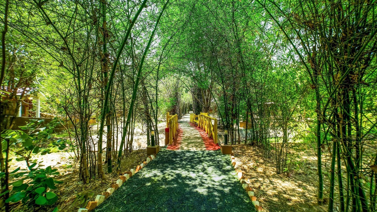 Tala Hotel | Lemon Tree Wildlife Resort, Bandhavgarh