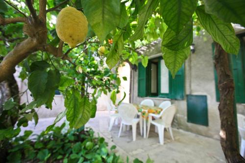 Erice Apartment | LEO APPARTAMENTI con vista panoramica
