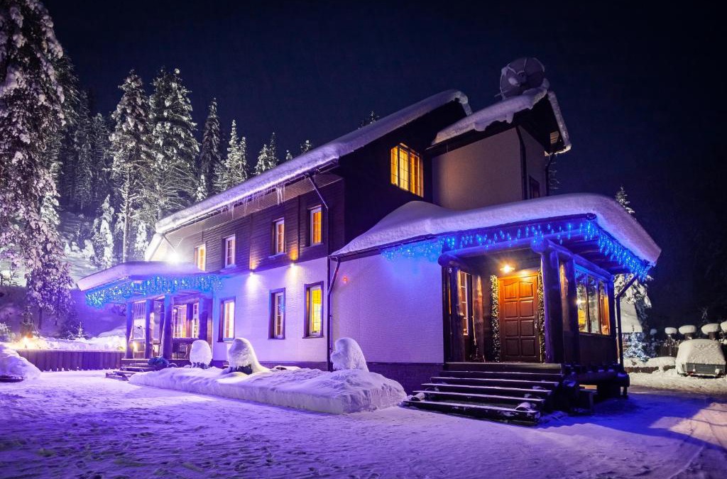 Artybash House | Leontopodium Teletskoye