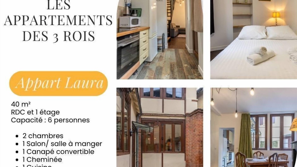 Romorantin-Lanthenay Apartment | Les 3 rois: Laura apartment with terrace