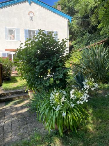 Vaux-en-Beaujolais Bed & Breakfast | Les Agapanthes
