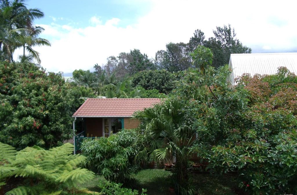 Centre Ville House | Les Agapanthes