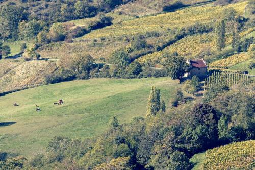 Gizia House | Les Billardes - le gite - Jura