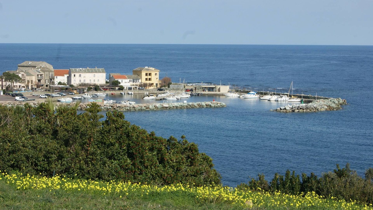 Santa-Severa Apartment | Les Cyprès - View to the sea and Harbor of Santa Severa, in Corsican Cape