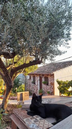 Gatova House | Les Eres de Gátova