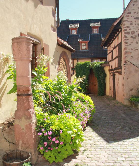 Riquewihr Apartment | Les Gîtes Coeur de Vigne