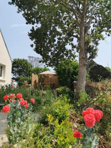 Peumerit House | Les gîtes de Blandine
