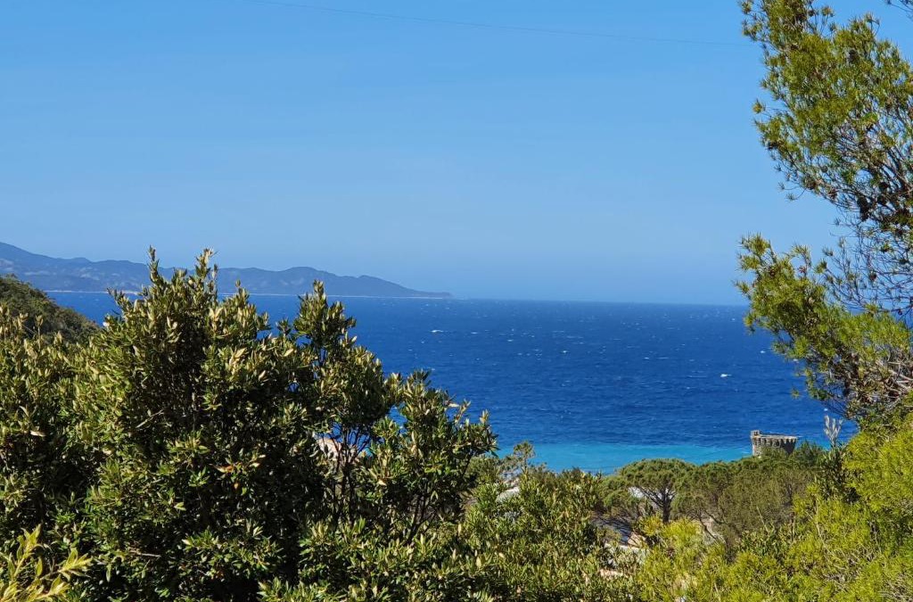 Olmeta di Capocorso Apartment | Les Gîtes du Cap Corse