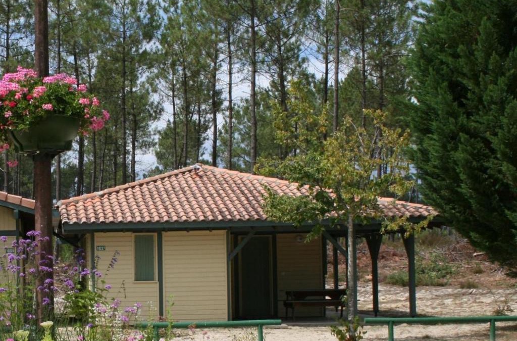Brocas House | Les genets
