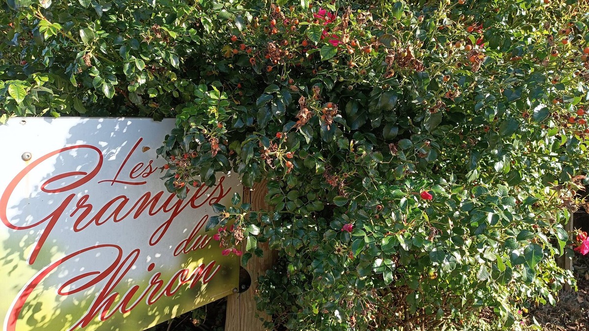 La Garnache Cottage | Les Granges du Chiron