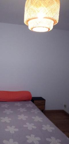 Saint-Maurice Pellevoisin House | Les inconnus