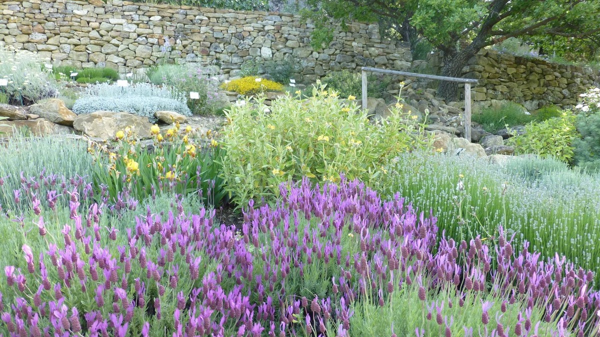 Simiane-la-Rotonde House | Les Jardins de L'abbaye