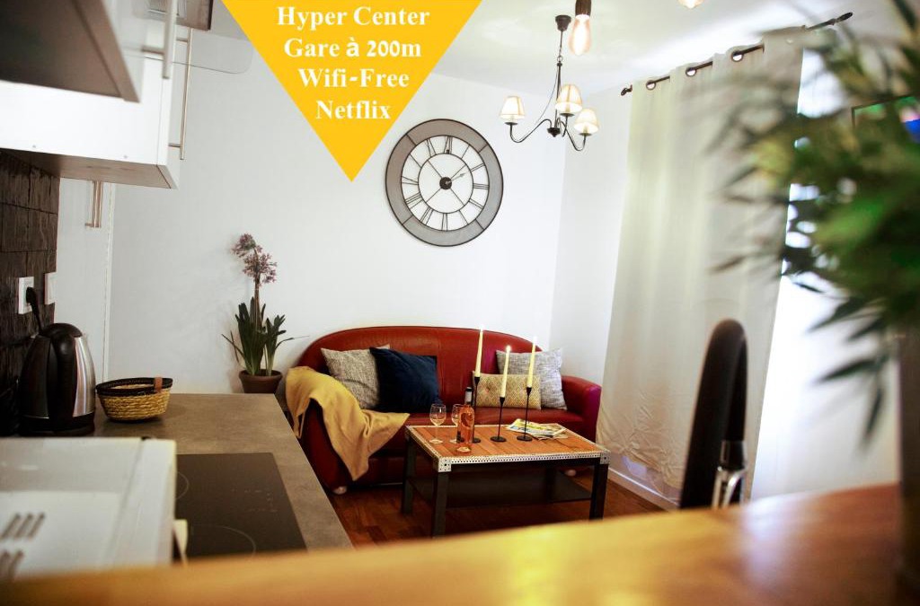 Provins Apartment | Les Lofts De Provins Apt 2