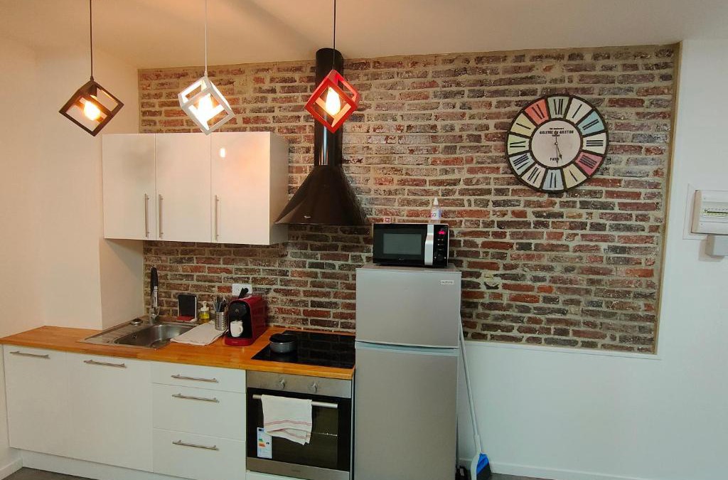 Provins Apartment | Les Lofts De Provins: Apt 5
