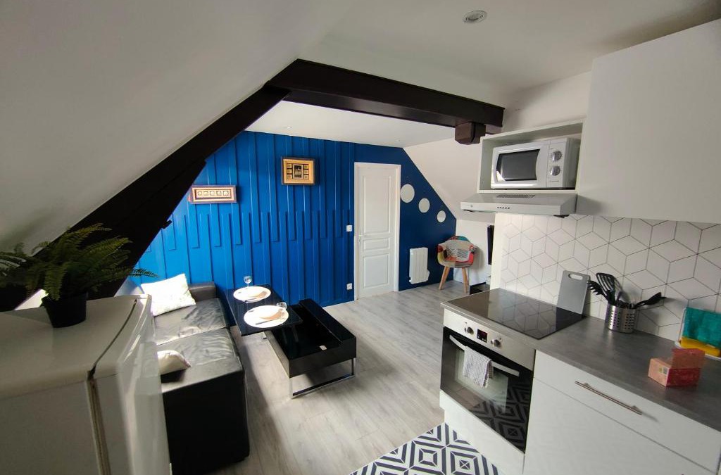 Provins Apartment | Les Lofts De Provins: Apt 6
