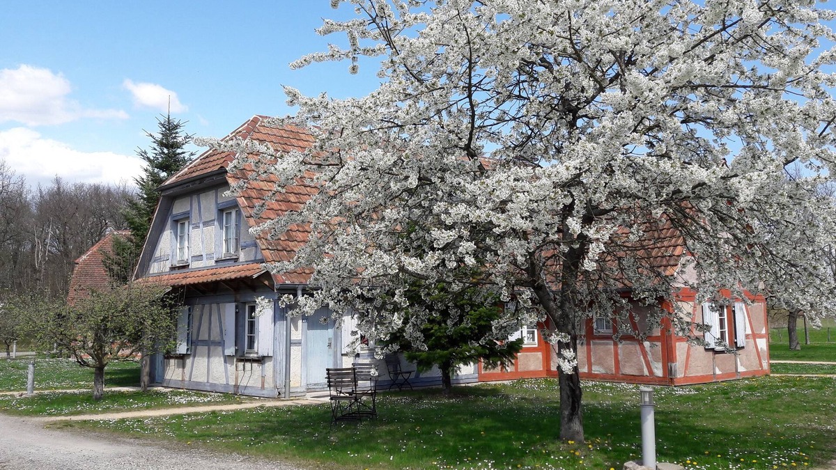 Ungersheim Hotel | Les Loges de l'Ecomusée D'Alsace
