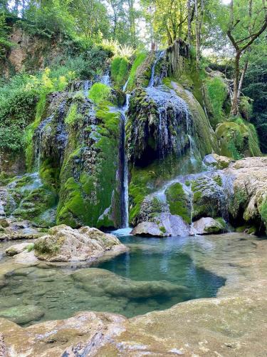 Campuac Bed & Breakfast | Les Monts d'Amara, ressourcement, nature, santé