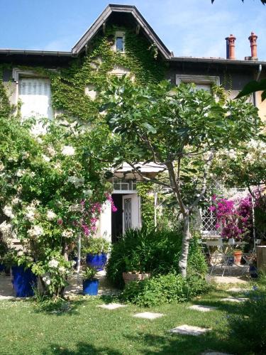 Avignon Bed & Breakfast | Les petits poissons