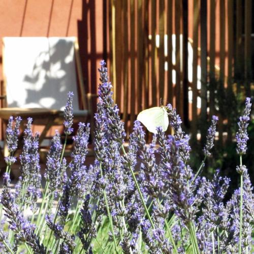 Besse-sur-Issole Bed & Breakfast | Les Pierres Sauvages