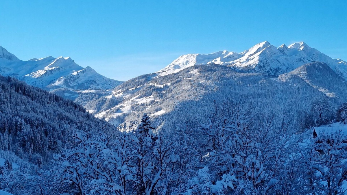 Hauteluce Ski Chalet | Les Roches your apartment in a chalet