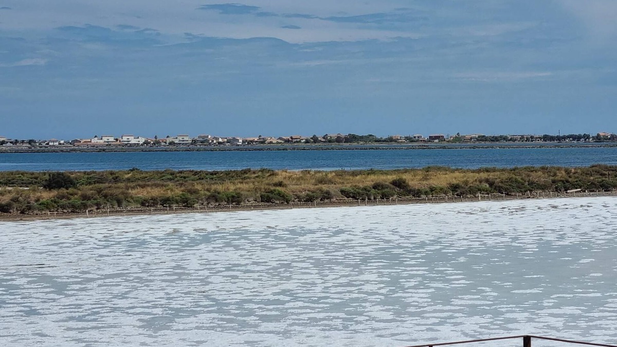 Vic-la-Gardiole House | LES SALINES reconnecting with nature.